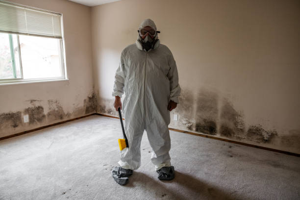 Best Industrial Mold Remediation  in Mans, CO